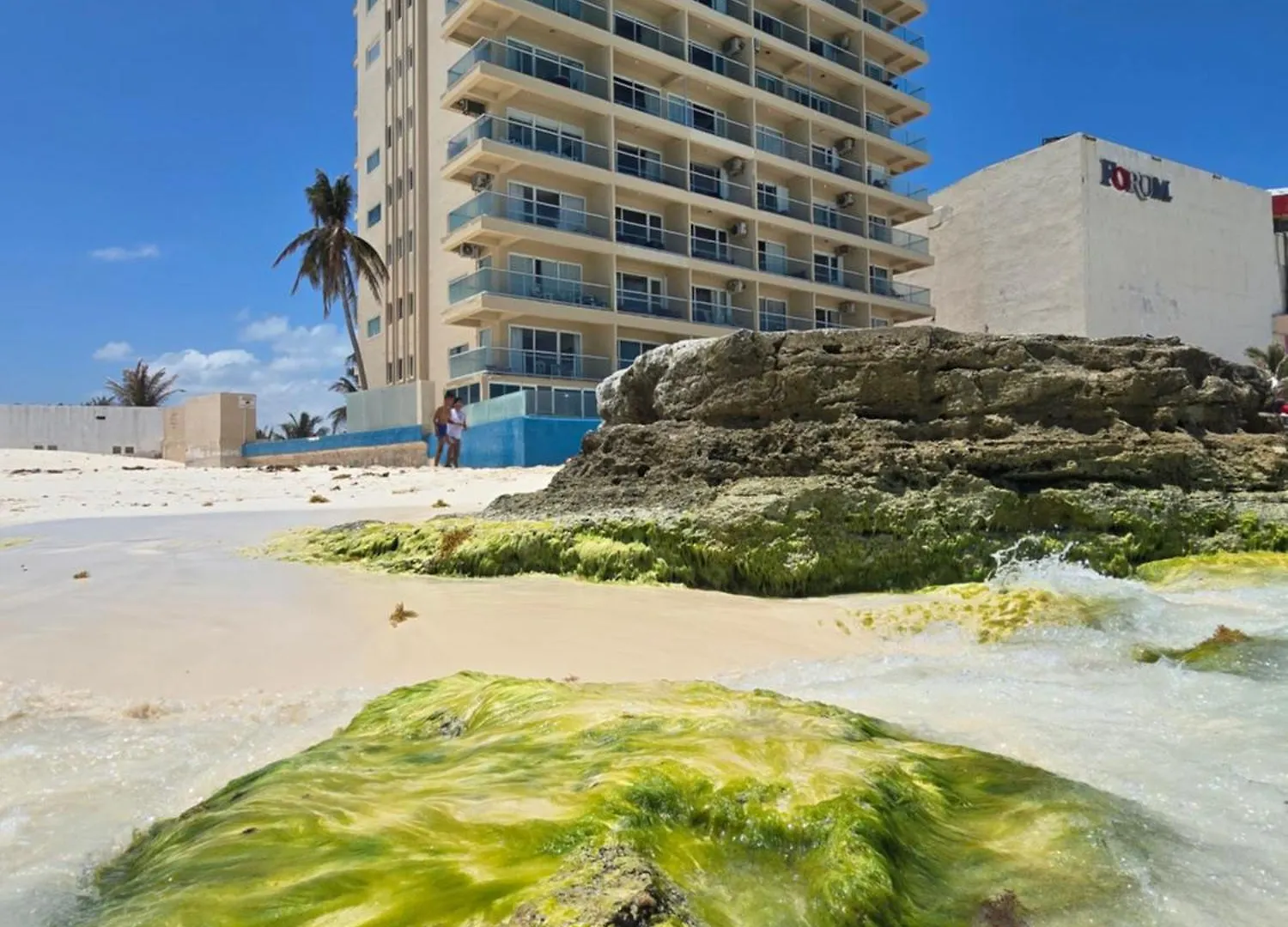 Apartment The Luxe Coastal Duplex Beach At Salvia Condominiums Cancun
